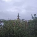 Webcam_20201006-083000
