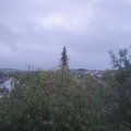 Webcam_20201006-084500