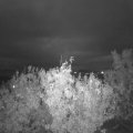 Webcam_20201007-193000