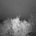 Webcam_20201008-070000