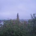 Webcam_20201008-073000