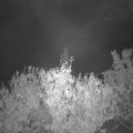 Webcam_20201010-060000