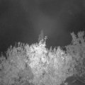 Webcam_20201010-063000