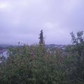 Webcam_20201010-080000