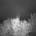 Webcam_20201012-070000