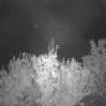 Webcam_20201014-063000
