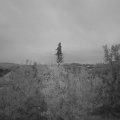 Webcam_20201017-073000