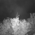 Webcam_20201017-213000