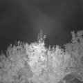 Webcam_20201017-220000