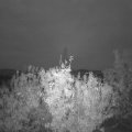 Webcam_20201019-071500
