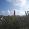 Webcam_20201019-120000