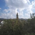 Webcam_20201019-124500