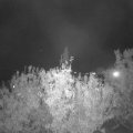 Webcam_20201019-194500