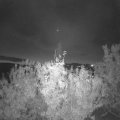 Webcam_20201020-064500