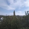 Webcam_20201020-123000
