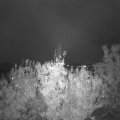 Webcam_20201020-190000