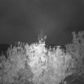 Webcam_20201021-071500