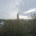 Webcam_20201021-101500