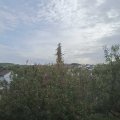 Webcam_20201021-114500