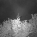 Webcam_20201021-200000