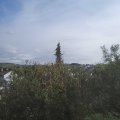 Webcam_20201022-130000