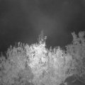 Webcam_20201023-060000