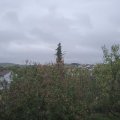 Webcam_20201023-110000