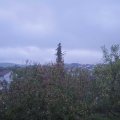 Webcam_20201023-174500