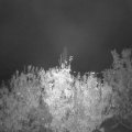 Webcam_20201023-190000