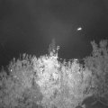 Webcam_20201023-194500