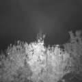 Webcam_20201023-203000