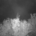Webcam_20201024-053000