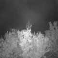 Webcam_20201024-054500