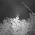 Webcam_20201024-060000