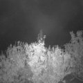 Webcam_20201024-063000