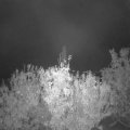Webcam_20201024-070000
