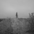 Webcam_20201024-074500