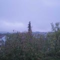 Webcam_20201024-083000