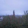 Webcam_20201024-084500
