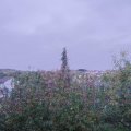 Webcam_20201024-183000