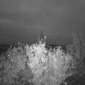 Webcam_20201024-184500