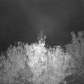 Webcam_20201024-190000