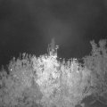 Webcam_20201024-204500
