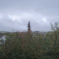 Webcam_20201027-110000
