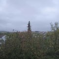 Webcam_20201027-111500