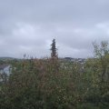 Webcam_20201027-113000