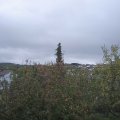 Webcam_20201027-120000
