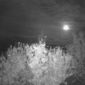 Webcam_20201027-191500