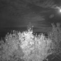 Webcam_20201027-201500