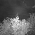 Webcam_20201027-210000
